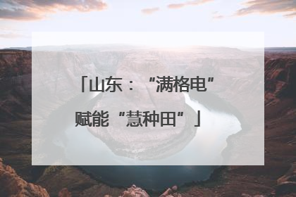 山东：“满格电”赋能“慧种田”