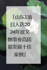 山东1项目入选2024年度文物事业高质量发展十佳案例