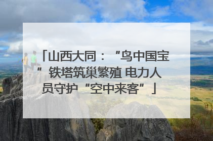 山西大同：“鸟中国宝”铁塔筑巢繁殖 电力人员守护“空中来客”