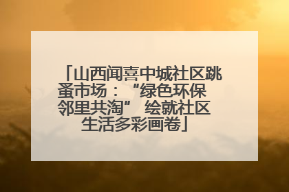 山西闻喜中城社区跳蚤市场：“绿色环保 邻里共淘” 绘就社区生活多彩画卷