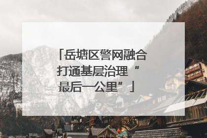 岳塘区警网融合 打通基层治理“最后一公里”