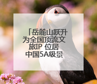 岳麓山跃升为全国顶流文旅IP 位居中国5A级景区影响力百强榜单前十