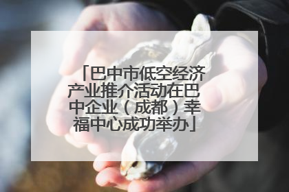 巴中市低空经济产业推介活动在巴中企业（成都）幸福中心成功举办