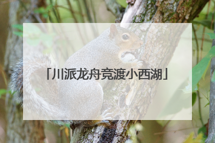 川派龙舟竞渡小西湖