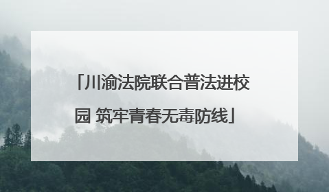 川渝法院联合普法进校园 筑牢青春无毒防线