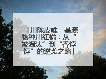川陈皮唯一基源物种川红橘：从“被淘汰”到“香饽饽”的逆袭之路