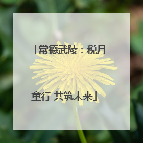 常德武陵：税月童行 共筑未来