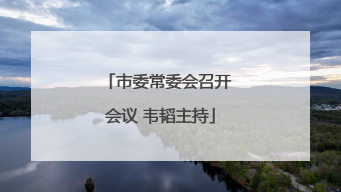 市委常委会召开会议 韦韬主持
