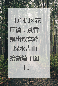 广信区花厅镇：茶香飘出致富路 绿水青山绘新篇（图）