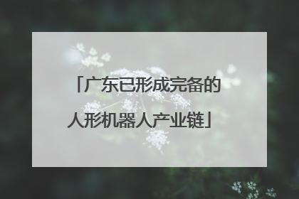 广东已形成完备的人形机器人产业链