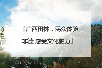 广西田林：民众体验非遗 感受文化魅力