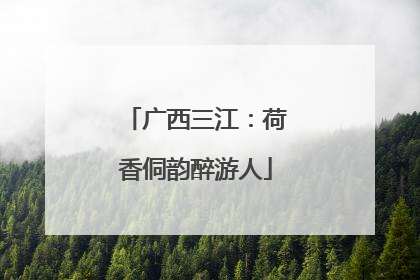 广西三江：荷香侗韵醉游人
