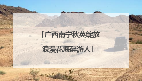 广西南宁秋英绽放 浪漫花海醉游人