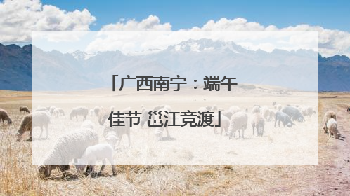 广西南宁：端午佳节 邕江竞渡