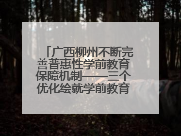 广西柳州不断完善普惠性学前教育保障机制——三个优化绘就学前教育新图景