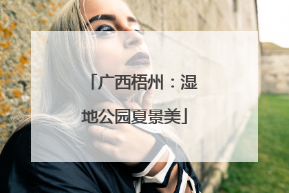 广西梧州：湿地公园夏景美