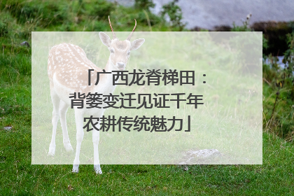 广西龙脊梯田：背篓变迁见证千年农耕传统魅力