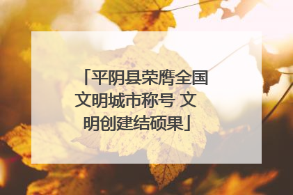 平阴县荣膺全国文明城市称号 文明创建结硕果