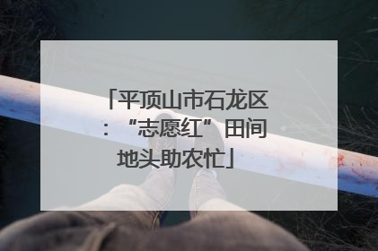 平顶山市石龙区：“志愿红”田间地头助农忙