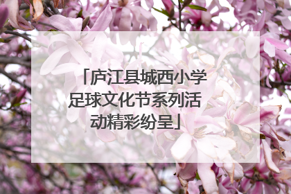 庐江县城西小学足球文化节系列活动精彩纷呈