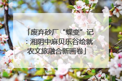废弃砂厂“蝶变”记：湘阴中麻贝乐谷绘就农文旅融合新画卷