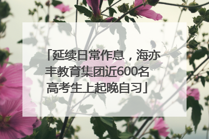 延续日常作息，海亦丰教育集团近600名高考生上起晚自习