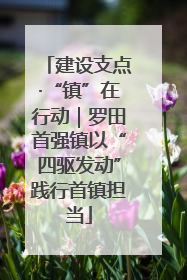 建设支点·“镇”在行动｜罗田首强镇以“四驱发动”践行首镇担当