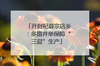 开封杞县宗店乡：多措并举保障“三夏”生产