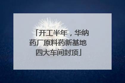 开工半年，华纳药厂原料药新基地四大车间封顶
