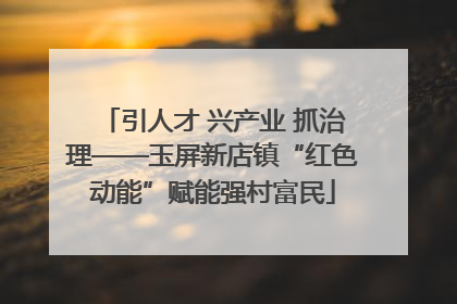 引人才 兴产业 抓治理——玉屏新店镇“红色动能”赋能强村富民