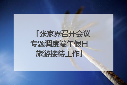 张家界召开会议专题调度端午假日旅游接待工作