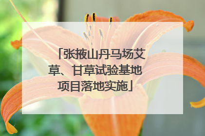 张掖山丹马场艾草、甘草试验基地项目落地实施
