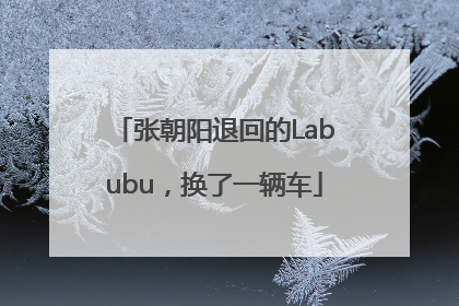张朝阳退回的Labubu，换了一辆车