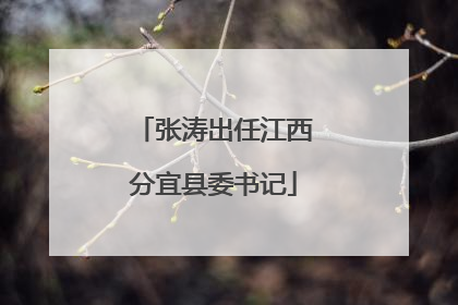 张涛出任江西分宜县委书记