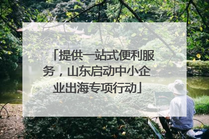 提供一站式便利服务，山东启动中小企业出海专项行动
