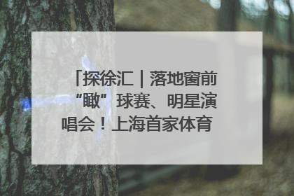探徐汇｜落地窗前“瞰”球赛、明星演唱会！上海首家体育特色高端酒店亮相