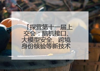 探营第十一届上交会：脑机接口、大模型安全、跨境身份核验等新技术将悉数亮相