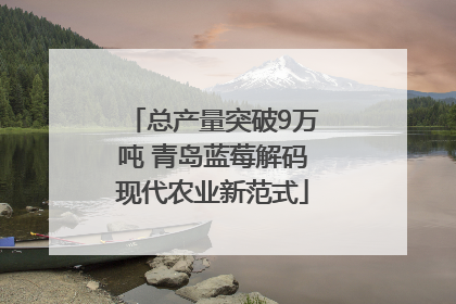 总产量突破9万吨 青岛蓝莓解码现代农业新范式