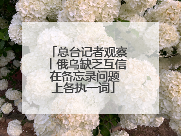 总台记者观察丨俄乌缺乏互信 在备忘录问题上各执一词