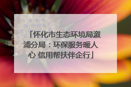 怀化市生态环境局溆浦分局：环保服务暖人心 信用帮扶伴企行