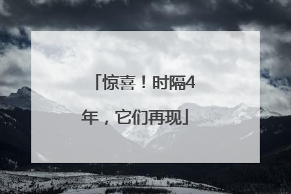 惊喜！时隔4年，它们再现