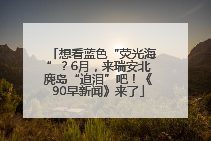 想看蓝色“荧光海”？6月，来瑞安北麂岛“追泪”吧！《90早新闻》来了