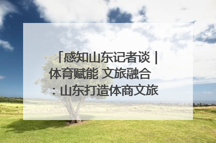 感知山东记者谈｜体育赋能 文旅融合：山东打造体商文旅融合发展新格局