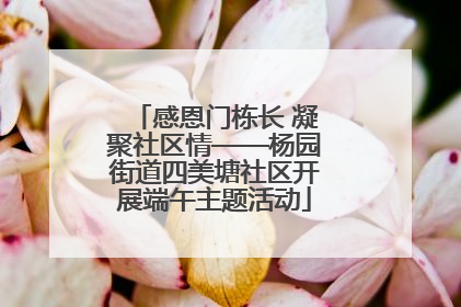 感恩门栋长 凝聚社区情——杨园街道四美塘社区开展端午主题活动