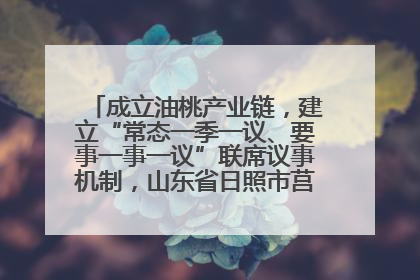 成立油桃产业链，建立“常态一季一议、要事一事一议”联席议事机制，山东省日照市莒县果庄镇——13个党小组“全周期”育果