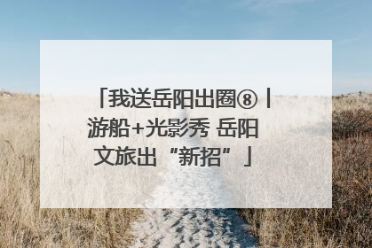 我送岳阳出圈⑧丨游船+光影秀 岳阳文旅出“新招”