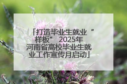 打造毕业生就业“样板” 2025年河南省高校毕业生就业工作宣传月启动