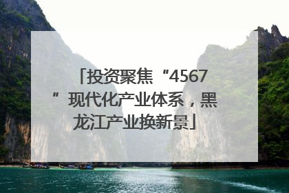 投资聚焦“4567”现代化产业体系，黑龙江产业换新景