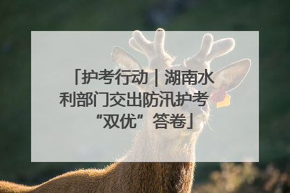 护考行动｜湖南水利部门交出防汛护考“双优”答卷
