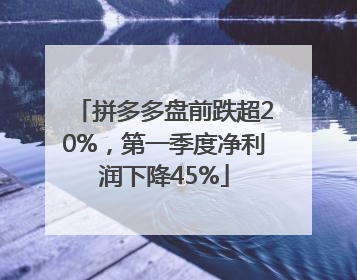 拼多多盘前跌超20%，第一季度净利润下降45%